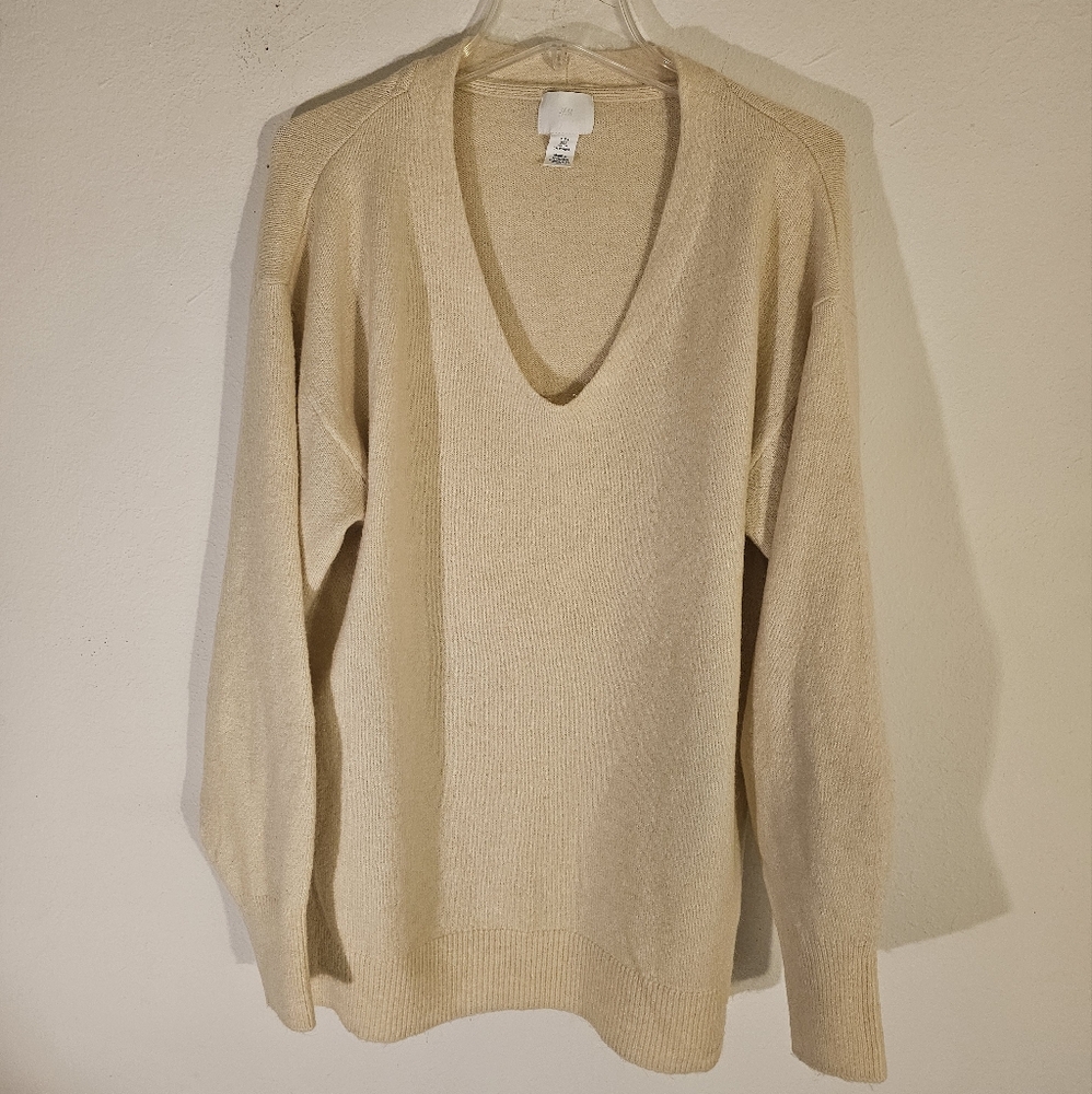 H & M V-Neck Sweater